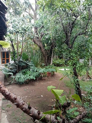 Casa En Venta O Renta San Cristobal De Las Casas Con Local Comercial