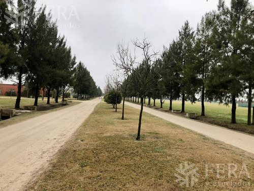 Imagen 16 de 30 de Venta De Terreno En Campos De Roca Ii (27850)