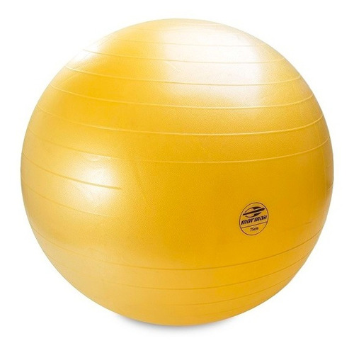 Bola De Ginástica C/ Bomba Ar Mormaii 65 Cm