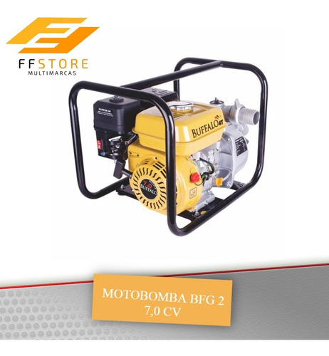 Imagem 2 de 4 de Motobomba Auto Escorvante À Gasolina 4t 7,0 Cv Bfg 2 Buffalo