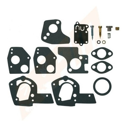 Kit Reparacion Compatible Briggs & Stratton 495606 494624