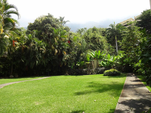 Imagen 25 de 27 de Vendo Pb 420mtm2/4h+s/6b+s/4p/altamira/0484