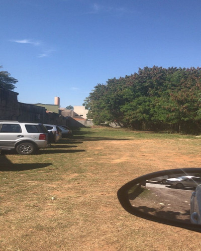 Imagem 6 de 6 de Terreno Comercial - Te00939 - 32654518