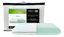 Comprar Almohada Beautyrest Calm Infusión Aloe Vera