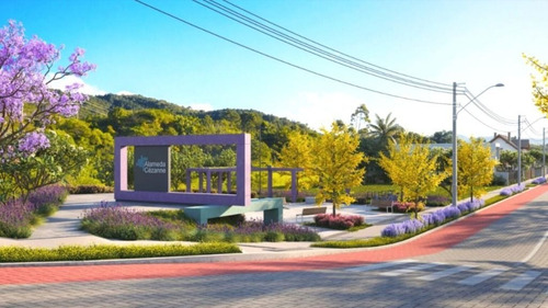 Imagem 1 de 1 de Terreno À Venda, 644 M² Canasvieiras- Florianópolis/sc - Sc - Te0012_ccon
