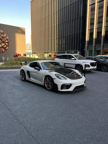 Porsche Gt4 Rs