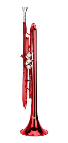 Imagen 5 de 10 de Asistente Profesional De Instrumentos De Viento De Música De