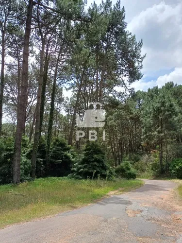 Terreno, Venta, Club Del Lago - Ref : Pbi14201