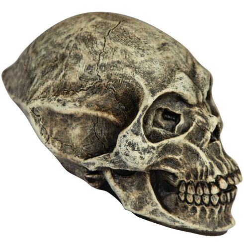 Imagen 1 de 1 de Decorativo De Látex Cráneo Alien Skull Decoración Halloween