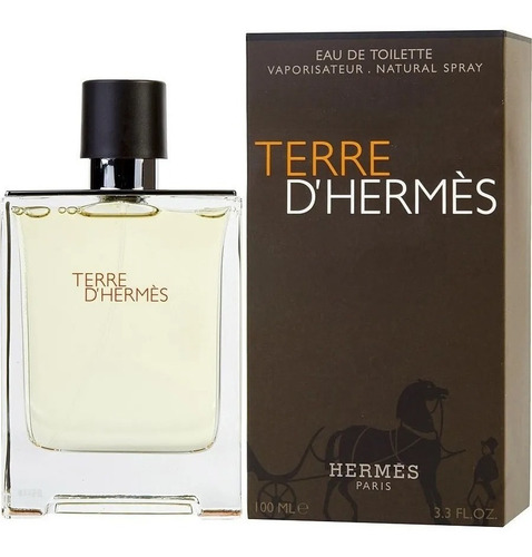 Imagen 2 de 9 de Perfume Hermes Terre Dhermes - Edt 100ml -caballero