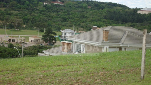 Imagem 3 de 5 de Terreno - Vila Nova - Ref: 59329 - V-59329