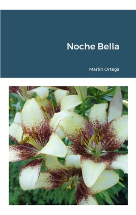 Libro Noche Bella - Ortega, Martin