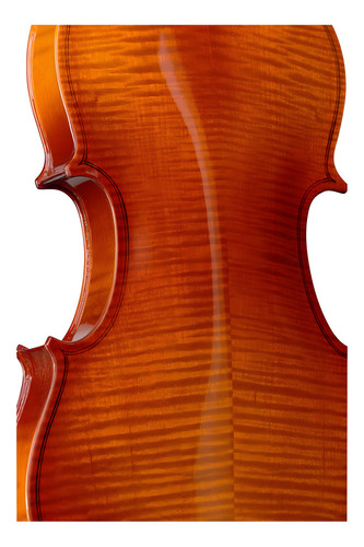 Stagg Violin 3/4 De Maple Sombreado Con Estuche Color Marrón