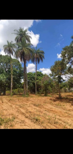 Vende-se Lindas Chácaras 2000m Quadrado, Em Jaboticatuba Mg