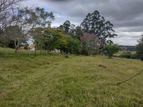 Imagem 15 de 30 de Chácara 4,5 Alqueires Casa Simples E Boa,poço Caipira Agua Cristalina,corrego No Fundo,fácil Acesso 800mts Do Asfalto,ótimo Pasto,27 Kms Itapetininga - Ch00081 - 69505662