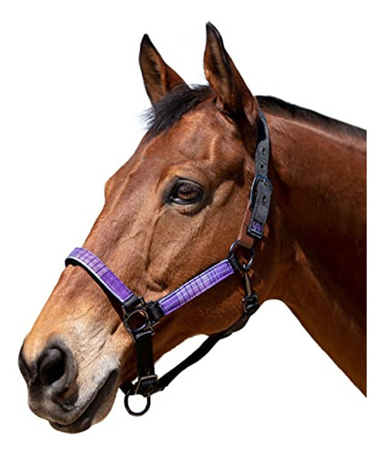 Jaquima Para Caballo Equitacion Kensington Breakaway Halter