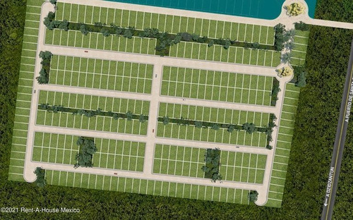 Imagen 5 de 5 de Lotes En Venta En Dzidzantun ,santa Clara Gy . 22-959