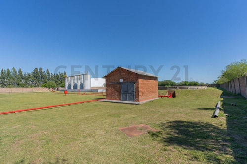Imagen 6 de 30 de Venta - Galpon - Planta Industrial - Zarate
