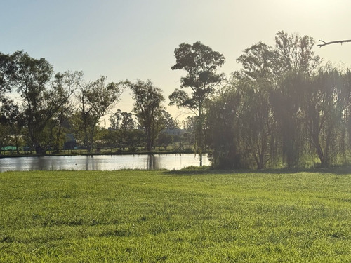 Terreno Lote En Venta En Casuarinas Del Pilar, Zelaya, Pilar