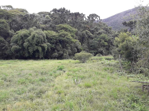 Sítio Carvalhos Com 20.000 M2 - 494