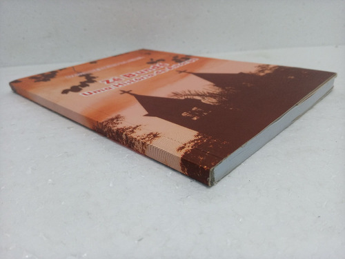Livro Zé Bundé Uma História De Astorga - David Belmiro Da Silva (2013 (22a Edição)) (Usado)