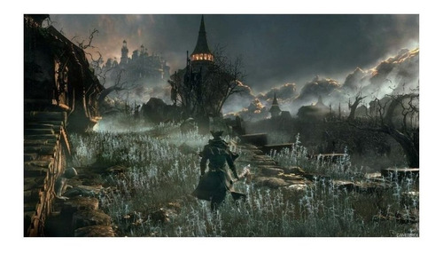 Imagen 3 de 4 de Bloodborne Standard Edition Sony PS4 Físico