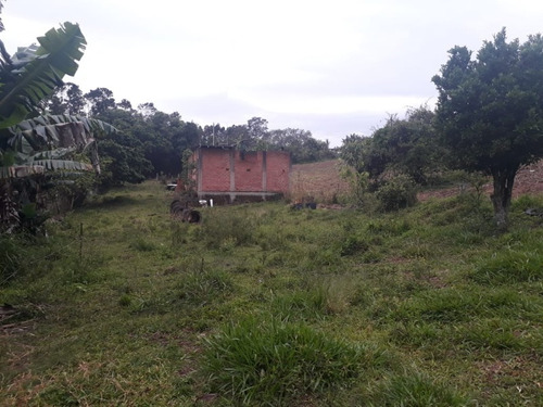 Chácara 7.800 M² - Fazenda Conceição - Gravataí - Rs - 2479 - 68818720