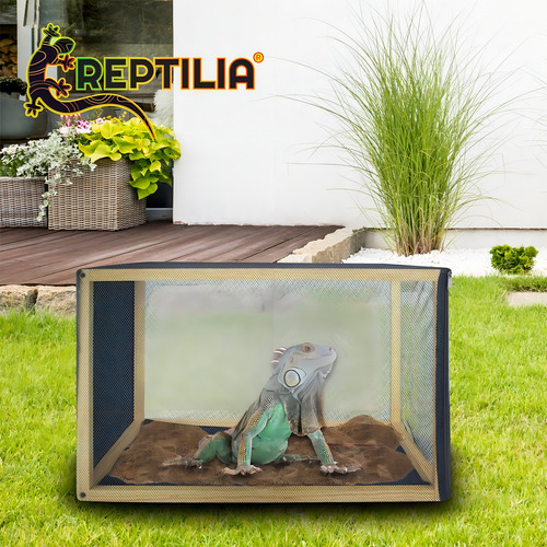 Reptilario Chico Solarium Para Baños De Sol Para Reptiles
