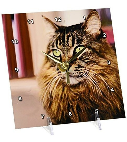 3drose Llc Maine Coon Desk Clock, 6 By 6-inch