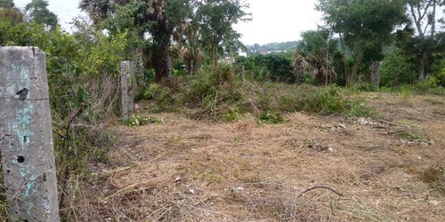 Venta Terreno 200 M² Col. Samperio Tuxpan Veracruz.