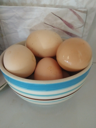 Imagem 1 de 4 de Vendo Ovos De Galinha Índio Gigante