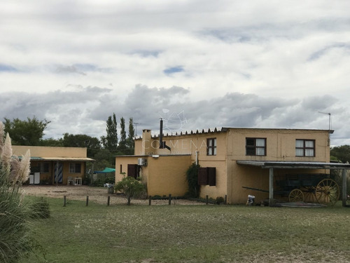 Imagen 4 de 30 de Venta De Chacra Sobre Ruta 9 A 30 Km De Jose Ignacio - Maldonado Ruta 9
