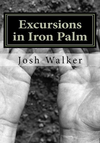 Libro Excursions In Iron Palm En Ingles