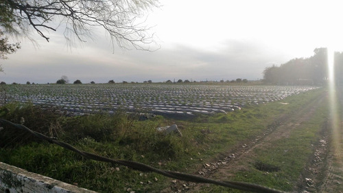 Imagen 2 de 5 de Campo 12 Ha En Capilla Del Señor, Agrícola