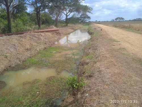 Imagen 25 de 28 de Finca En Venta Guarico
