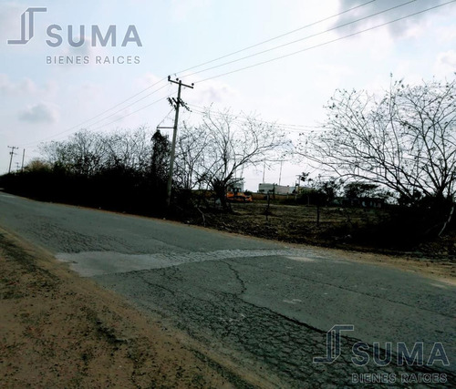 Terreno En Venta En Ejido Ricardo Flores Magón, Altamira Tamaulipas.