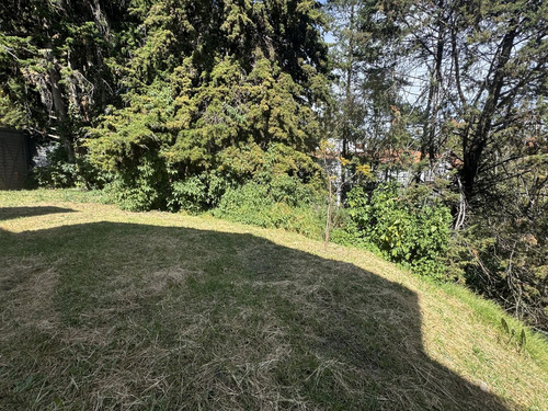 Terreno Villa Verdún