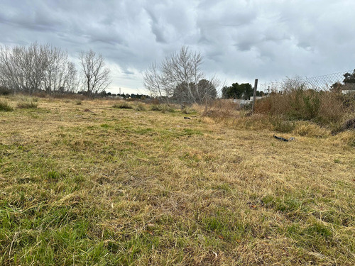Terreno Ramón Y Cajal Al 4300