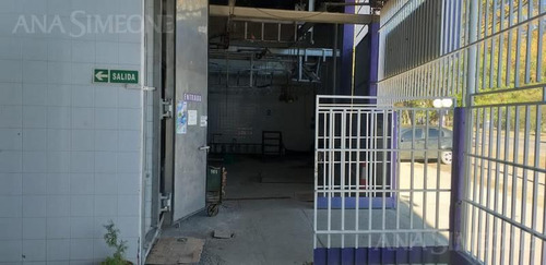 Imagen 7 de 10 de Local Para Frigorifico O Varias Utilidades En San Rafael- Mendoza