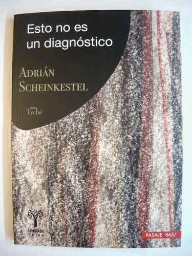 Esto No Es Un Diagnóstico, Adrián Scheinkestel, Unsam