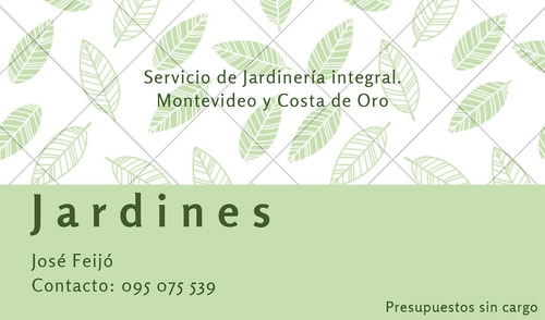 Servicio De Jardineria Y Pintura