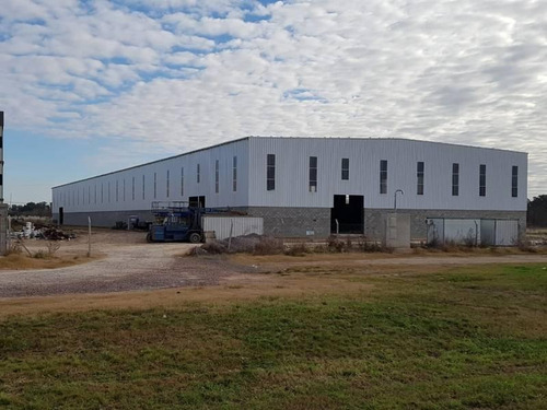 Imagen 11 de 14 de Naves Industriales De 2500 M2 A 5000m2