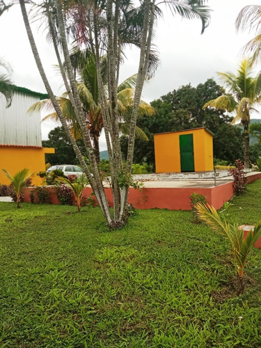 Imagen 4 de 14 de Terreno En Vigirima T10 Imnova