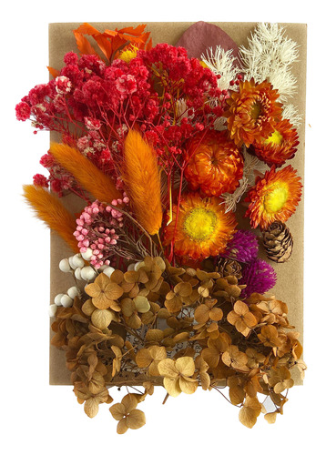 Flores Secas, Flores Secas Para Manualidades, Set De Secado