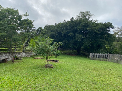 Chácara 17.800 M² - Fazenda Fialho - Taquara - Rs - 2060 - 33624263