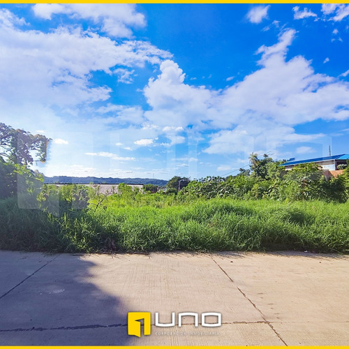 Imagen 6 de 7 de Terreno En Venta En La Guardia