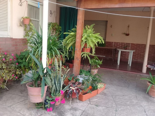 Imagen 5 de 7 de San Martin - Amplia -gran Terreno - Opcion Edif.
