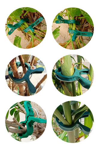 50 Piezas Clips Para Plantas Plantas Trepadoras Al Pescado S