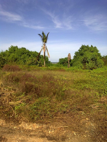 Imagen 7 de 7 de #064 Proyecto Turístico De 18.885m2 , Playa Esmeralda - Aguasal Higuerote