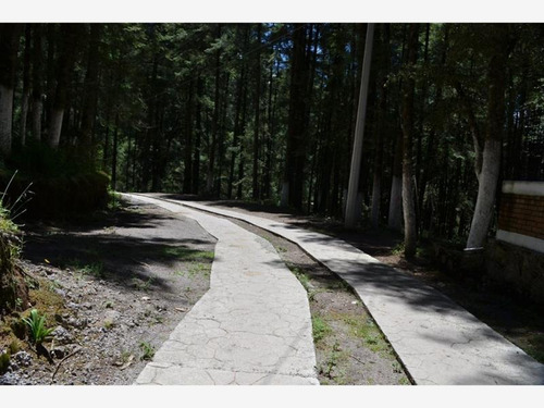 Imagen 1 de 12 de Terreno En Venta Mineral Del Monte Centro